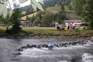Die Jugendpension mit Action
