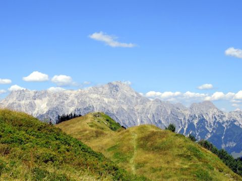 Blicke in die Kalkwände der Steinberge