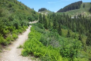Bedingt anspruchsvolle Biketrails