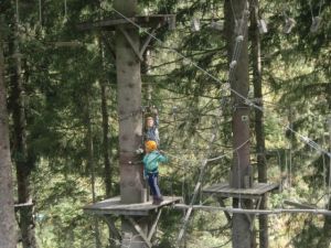 Klettern im Wald mit der Jugendpension Müllauerhof in Saalbach-Hinterglemm