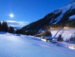 Baumzipfelweg im Wintercircus