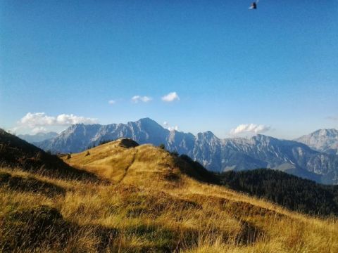 Tolles Farbenspiel bei der Wanderung in Saalbach Hinterglemm